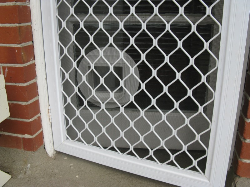 Cat shop door mesh